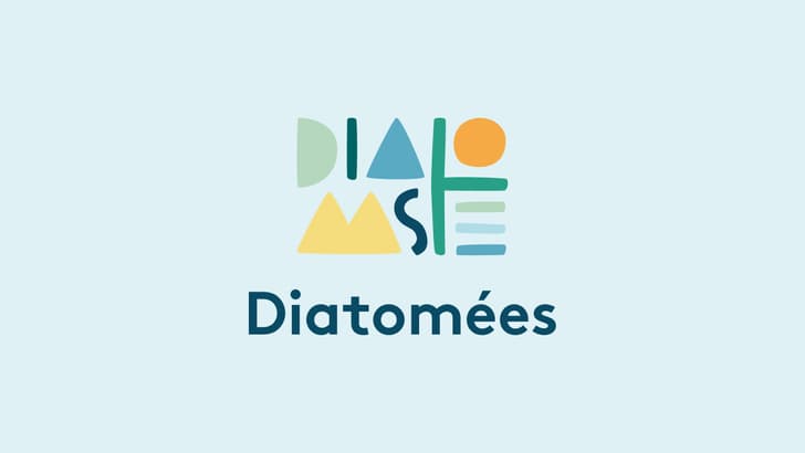 Logo de l'agence Diatomées, composé de formes géométriques colorées